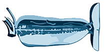 Associazione-APS-Wirsung-cura -pancreas